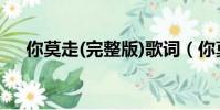 你莫走(完整版)歌詞(你莫走(完整版))
