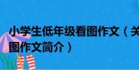 小學生低年級看圖作文(關于小學生低年級看圖作文簡介)
