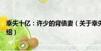 幸失十億:許少的背債妻(關于幸失十億:許少的背債妻介紹)