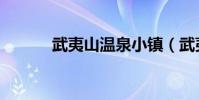 武夷山溫泉小鎮(武夷山溫泉)