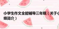 小學生作文全能輔導三年級(關于小學生作文全能輔導三年級簡介)