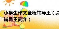 小學生作文全程輔導王(關于小學生作文全程輔導王簡介)