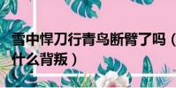 雪中悍刀行青鳥斷臂了嗎(雪中悍刀行青鳥為什么背叛)
