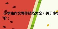 小學生作文寫作技巧大全(關于小學生作文寫作技巧大全簡介)