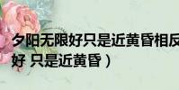 夕陽無限好只是近黃昏相反的詩句(夕陽無限好 只是近黃昏)