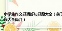 小學生作文好詞好句好段大全(關于小學生作文好詞好句好段大全簡介)