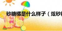 砂糖橘是什么樣子(炫砂糖橘什么意思)