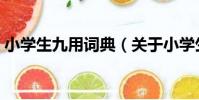 小學生九用詞典(關于小學生九用詞典簡介)