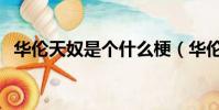 華倫天奴是個什么梗(華倫天奴是什么梗)