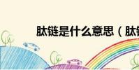 肽鏈是什么意思(肽鏈是什么)