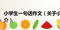 小學生一句話作文(關于小學生一句話作文簡介)