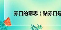 赤口的意思(貼赤口是什么意思)