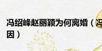 馮紹峰趙麗穎為何離婚(馮紹峰趙麗穎離婚原因)