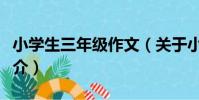 小學生三年級作文(關于小學生三年級作文簡介)