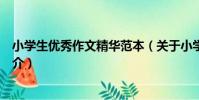 小學生優秀作文精華范本(關于小學生優秀作文精華范本簡介)