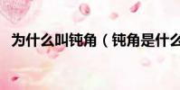 為什么叫鈍角(鈍角是什么梗網絡流行語)