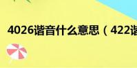 4026諧音什么意思(422諧音是什么意思)