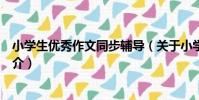 小學生優秀作文同步輔導(關于小學生優秀作文同步輔導簡介)