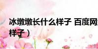 冰墩墩長什么樣子 百度網盤(冰墩墩長什么樣子)