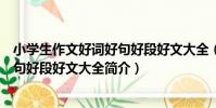 小學生作文好詞好句好段好文大全(關于小學生作文好詞好句好段好文大全簡介)