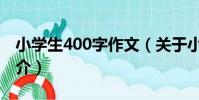 小學生400字作文(關于小學生400字作文簡介)