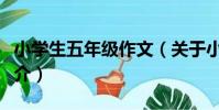 小學生五年級作文(關于小學生五年級作文簡介)