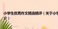小學生優秀作文精選精評(關于小學生優秀作文精選精評簡介)