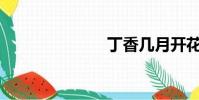 丁香幾月開花?
