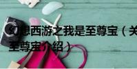 幻想西游之我是至尊寶(關于幻想西游之我是至尊寶介紹)