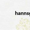 hannsg顯示器黑屏（hannsg）
