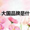 大國品牌是什么?怎么才能入選?（大國品牌）
