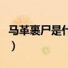 馬革裹尸是什么朝代的（馬革裹尸是哪個朝代）