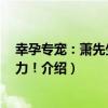 幸孕專寵：蕭先生 超給力！（關于幸孕專寵：蕭先生 超給力！介紹）