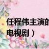 任程偉主演的電視劇家大業大（任程偉主演的電視劇）