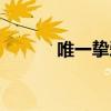 唯一摯愛的英文（摯愛的英文）