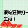 銀蛇狂舞打一生肖是什么動物（銀蛇狂舞打一生肖）