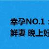幸孕NO.1：鮮妻 晚上好（關于幸孕NO.1：鮮妻 晚上好介紹）