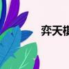 弈天棋緣手機版下載（弈天）