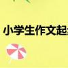 小學生作文起步（關于小學生作文起步簡介）