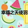 幸福之天使羽翼（關于幸福之天使羽翼介紹）