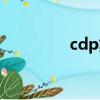 cdp集團王煒（cdp集團）