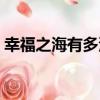 幸福之海有多深（關于幸福之海有多深介紹）
