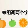蝙組詞兩個字兩個詞（蝙兩個字的組詞2個）