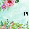 ppt是什么意思（pp）