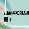 司藤中的達那在什么地方（司藤里的達那是哪里）