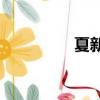 夏新N821（夏新n810）
