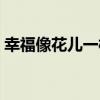 幸福像花兒一樣（關于幸福像花兒一樣介紹）