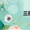 三星S269（三星s269）