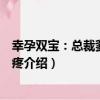 幸孕雙寶：總裁爹地輕點疼（關于幸孕雙寶：總裁爹地輕點疼介紹）
