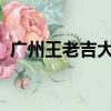 廣州王老吉大健康產業有限公司屬于哪個區